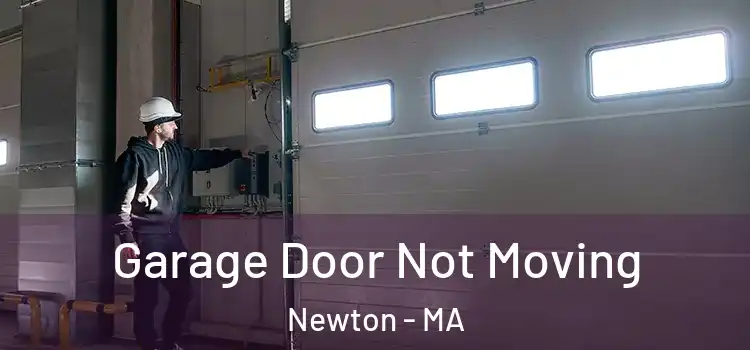  Garage Door Not Moving Newton - MA