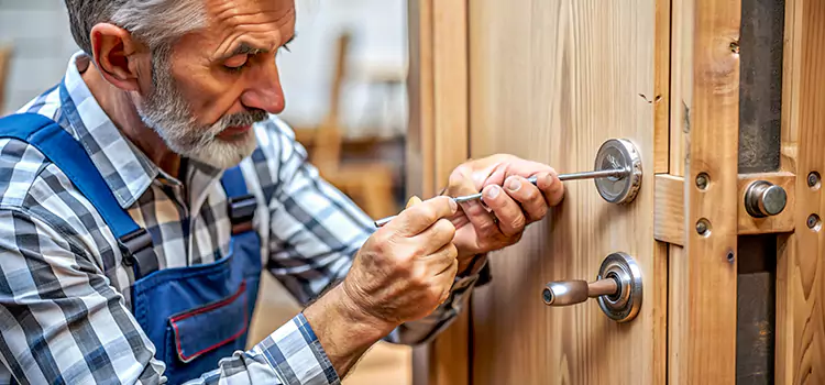 Mortise Replacement Lock Newton