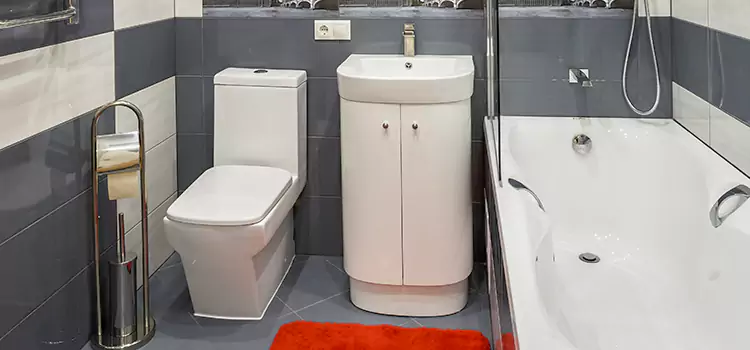 Hansgrohe Shaving Mirror Newton