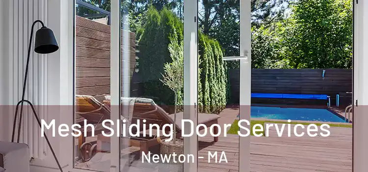 Mesh Sliding Door Services Newton - MA